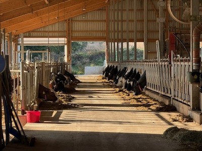 Lernen mit allen Sinnen: FÃ¼nft- und SechstklÃ¤ssler besuchen ... Bild 2