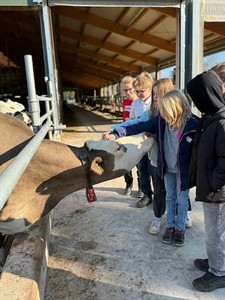 Lernen mit allen Sinnen: FÃ¼nft- und SechstklÃ¤ssler besuchen ... Bild 5