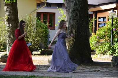 Tanz im Mai - Fr&Atilde;&frac14;hlingsball in Marienau Bild 10