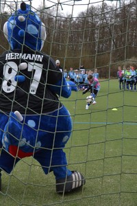HSV FuÃŸballschule in Marienau Bild 5