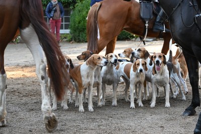 Jugendwochenende der Niedersachsen Meute e.V. an der Schule ... Bild 4