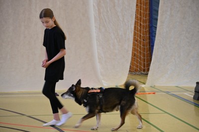 Zirkus-Zeit! Unsere J&Atilde;&frac14;ngsten zeigten ihr K&Atilde;&para;nnen Bild 3