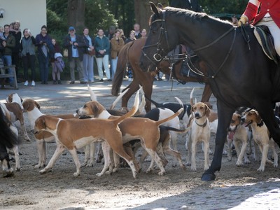 Jugendwochenende der Niedersachsen Meute e.V. an der Schule ... Bild 8